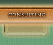CONSULTING
