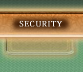 SECURITY