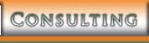Consulting